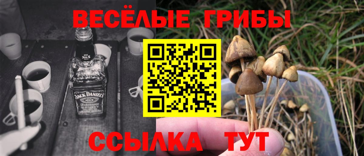 Галлюциногенные грибы Psilocybine cubensis  купить закладку  Балахна  Вход с VPN  Псилоцибиновые грибы мицелий 